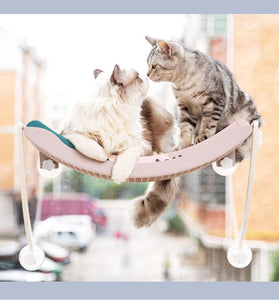 Cat Hammock Bask In The Sun Hanging