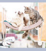 Cat Hammock Bask In The Sun Hanging