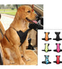 PawSafe Belt