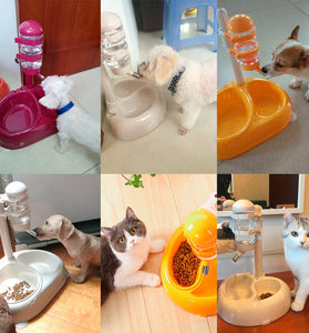 PetFlow Fountains