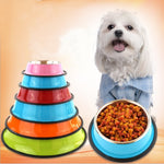 Bowl feeding basin