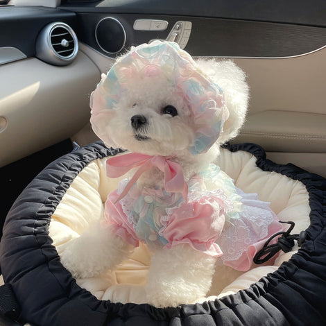 Royal Pet Princess Dress