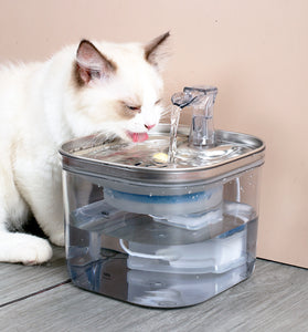 Stainless Steel Automatic Fountain