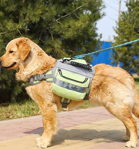 AdventurePro Large Dog Backpack