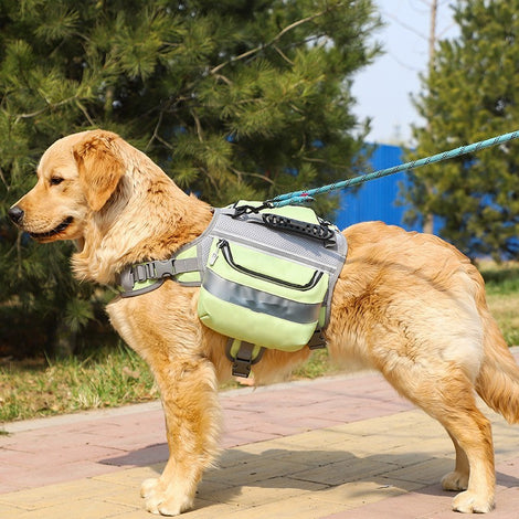 AdventurePro Large Dog Backpack