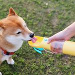 Portable Feeding And Water Feeding Cup