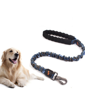 FlexiPaw Leash